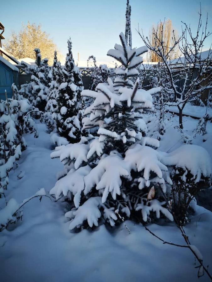 Загородный Коттедж Kek-Dzhar Eksteriør billede
